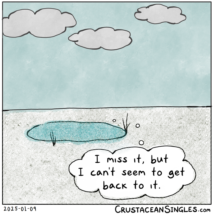 A sparse, sandy landscape under a pale blue sky with three clouds; a small, shallow puddle sits in the foreground with a few blades of grass. A thought bubble reads, “I miss it, but I can’t seem to get back to it.”